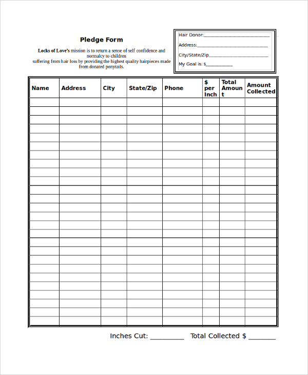 FREE 8+ Sample Pledge Forms in PDF MS Word