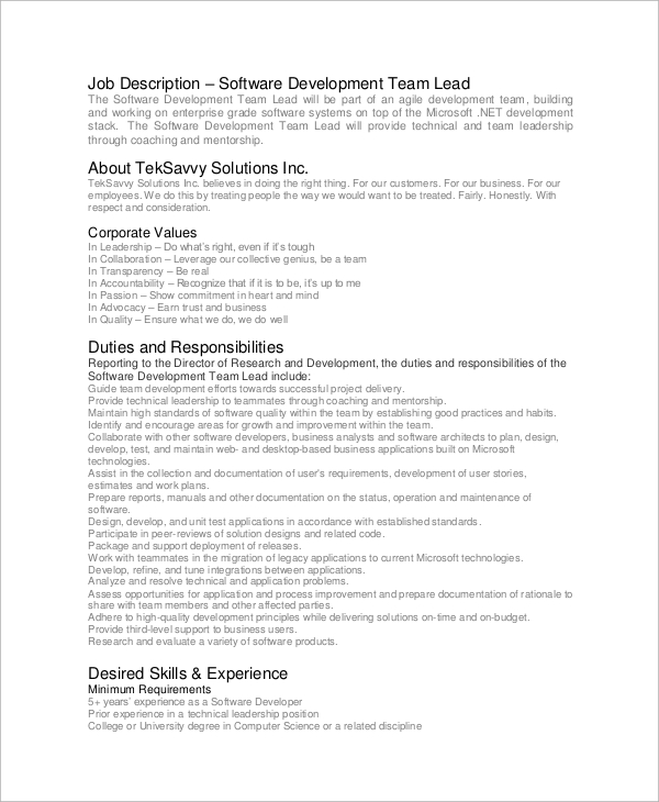 software developer team lead job description