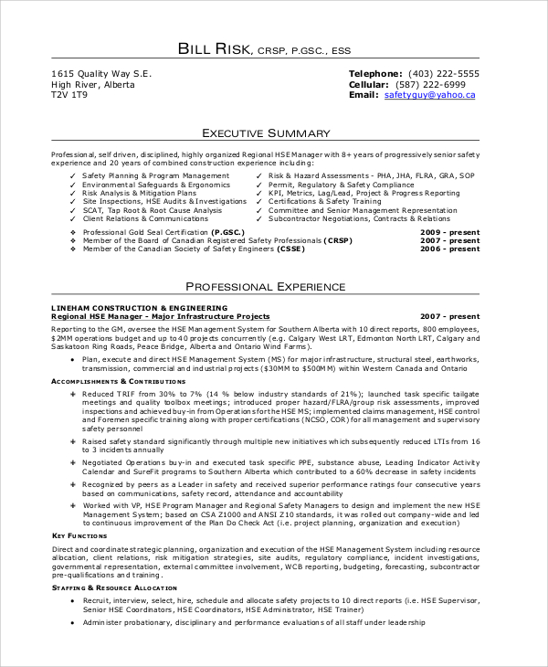 resume executive summary sample