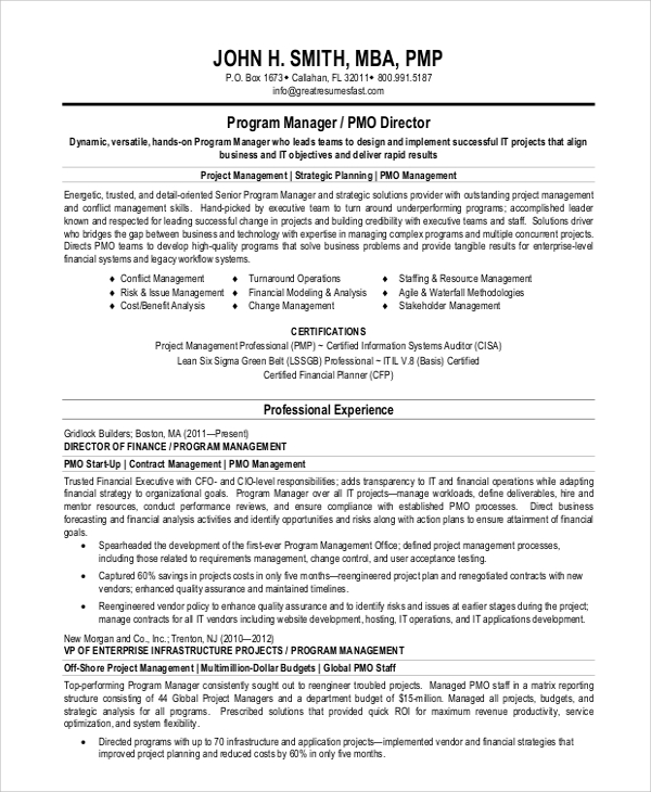 project manager resume summary statement