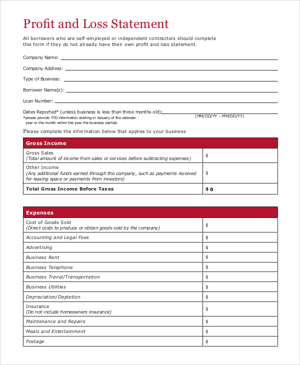 profit and loss statement form