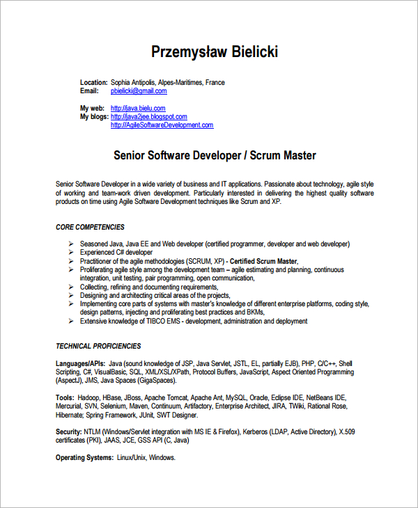 software developer scrum master resume