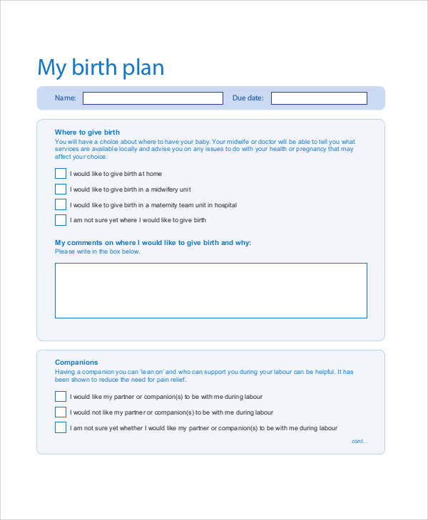 birth plan form example
