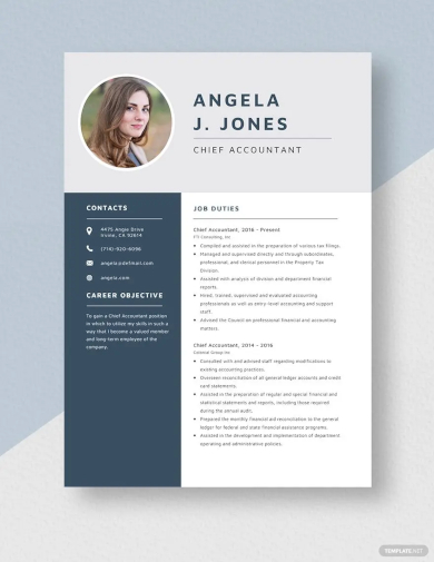 chief accountant resume template