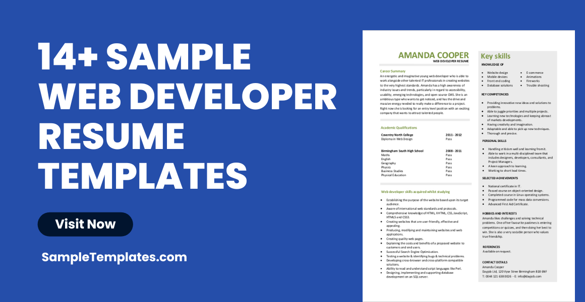 Sample Web Developer Resume Template