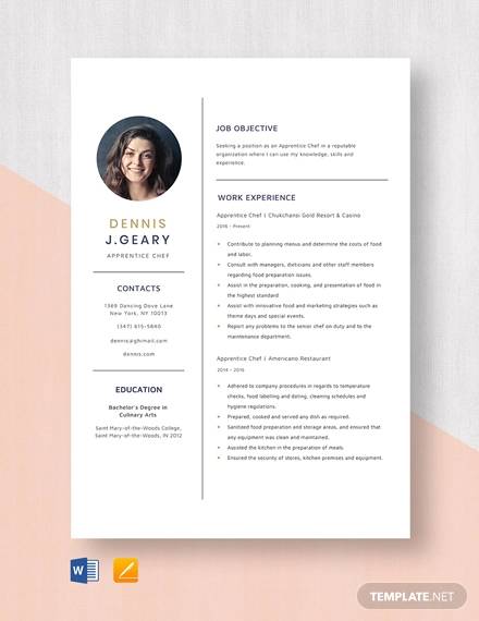 Chef Resume Sample Word