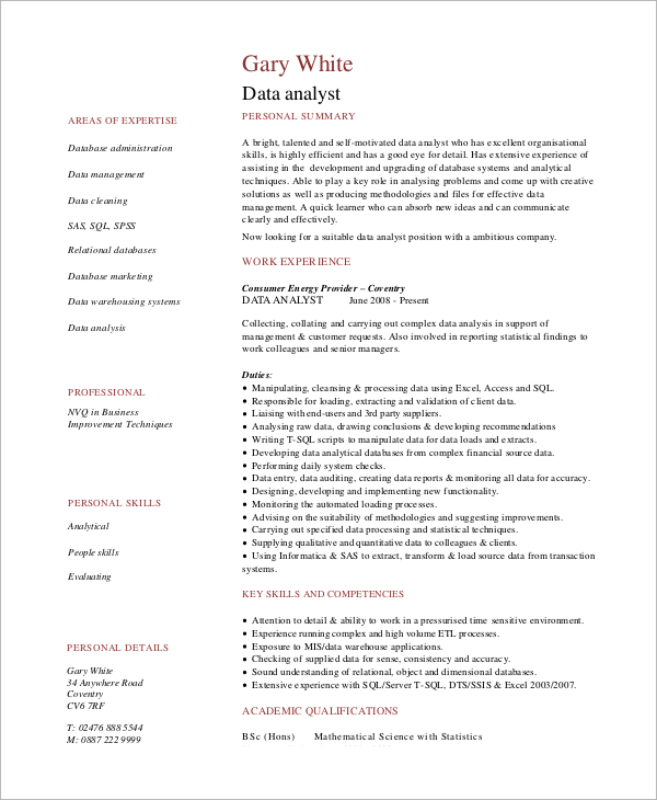 Sample Data Analyst Resume 6 Examples In Word PDF