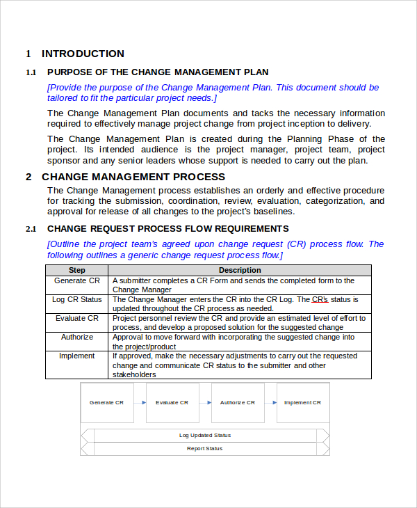 change management project plan example
