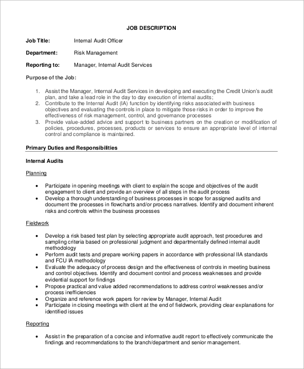 internal audit officer job description