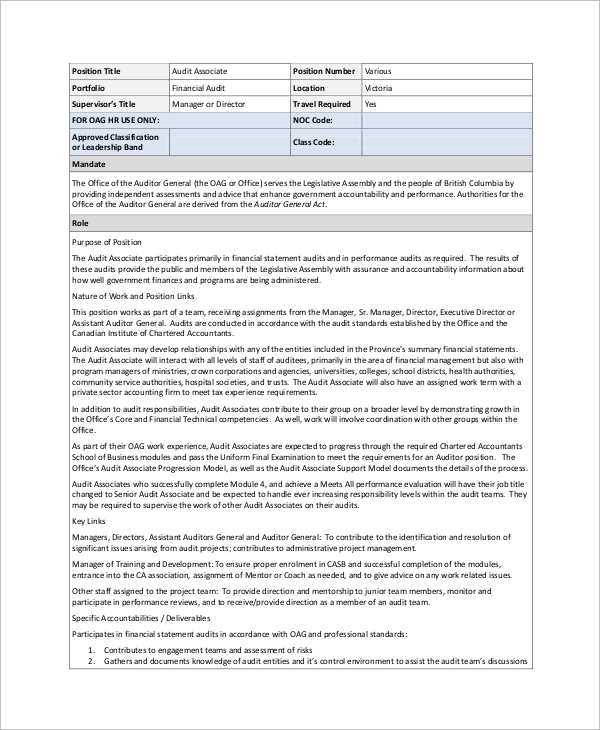 FREE 12 Sample Auditor Job Descriptions In MS Word PDF Google Docs 