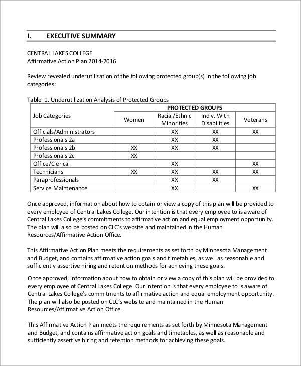 Affirmative Action Plan Template For Small Business Best Template Ideas