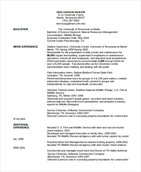 employment resume cover letter word