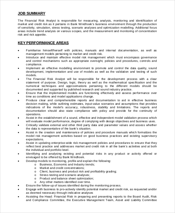 risk manager job description pdf