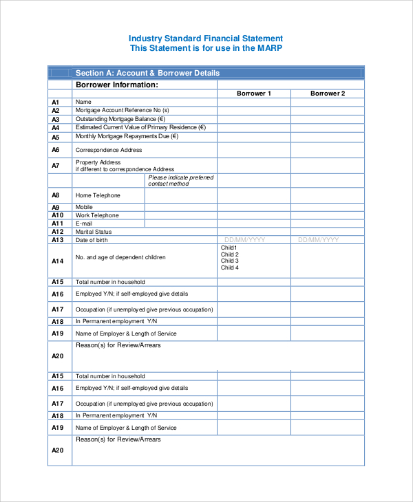 industry standard financial statement form
