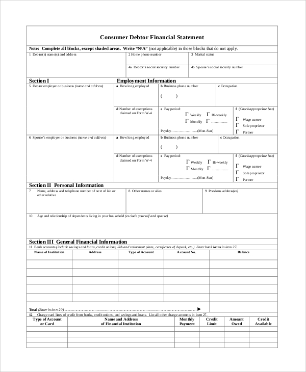 consumer debtor financial statement form