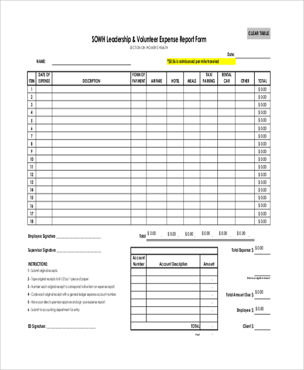 health 12 expenses form Sample Expense  in Docs Word, Form Examples 14 PDF, Report