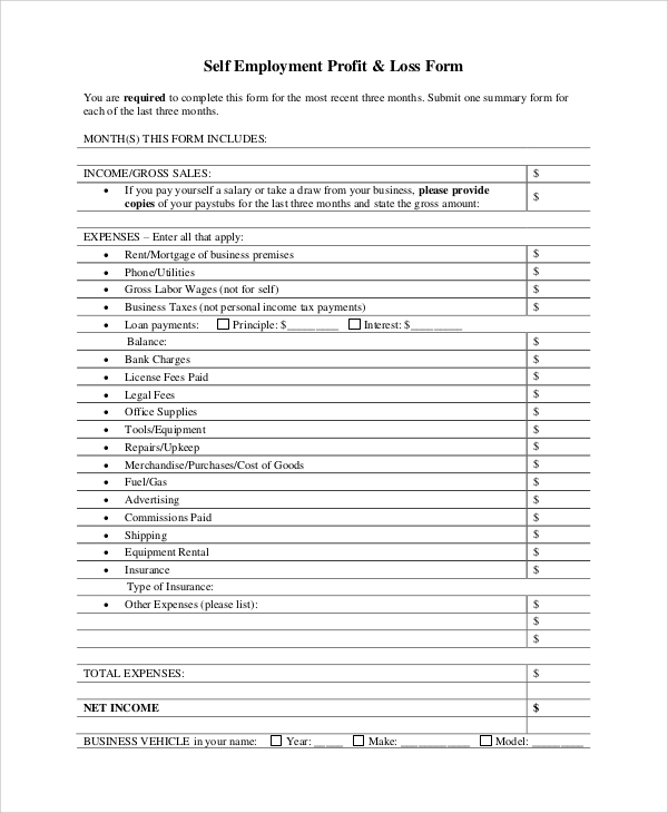 Free 7 Sample Profit And Loss Statement Forms In Pdf Excel
