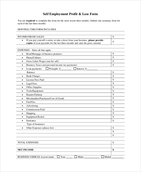 self employment profit and loss statement form