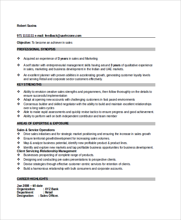 sales executive resume format in word download