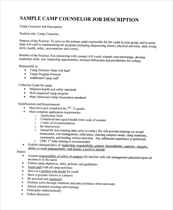 sample camp counselor job description