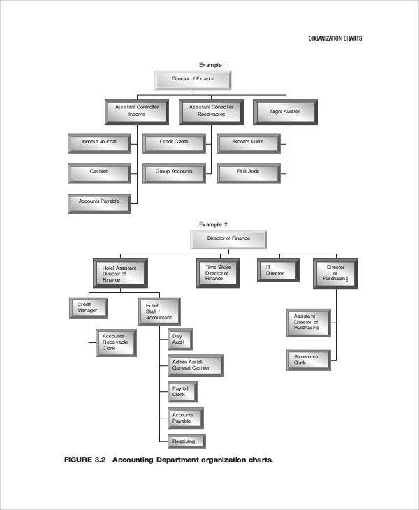 accounting department organization chart