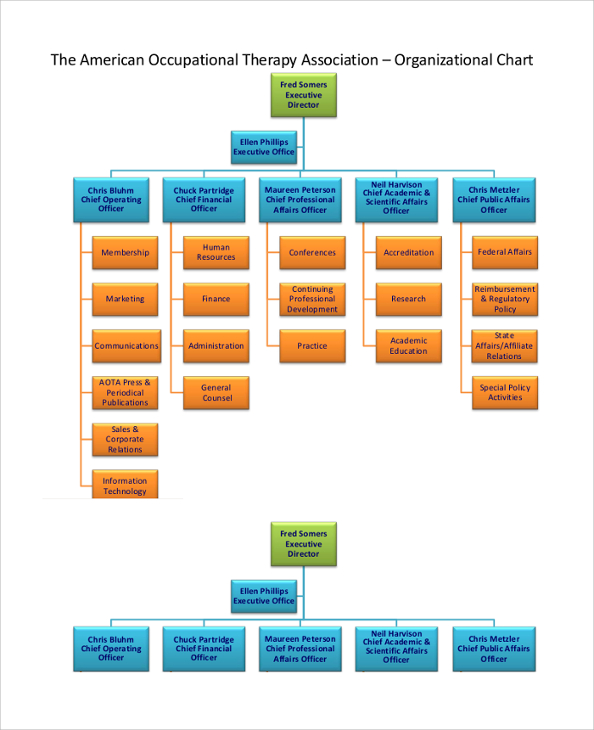 aota employee staff organizational chart