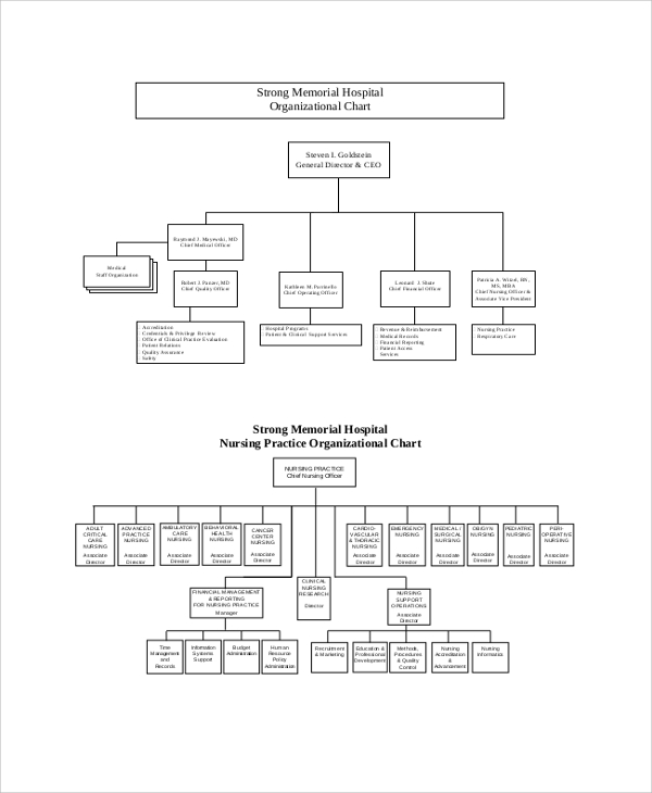 strong memorial hospital organizational chart