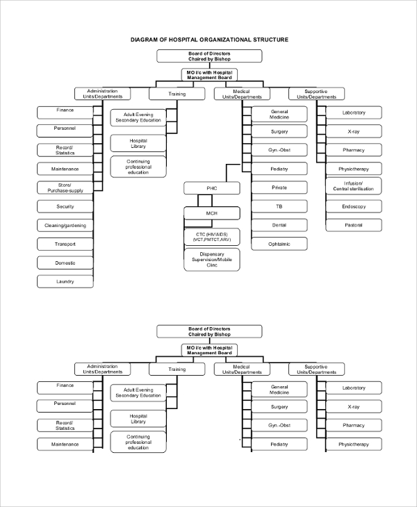 corporate hospital organizational chart
