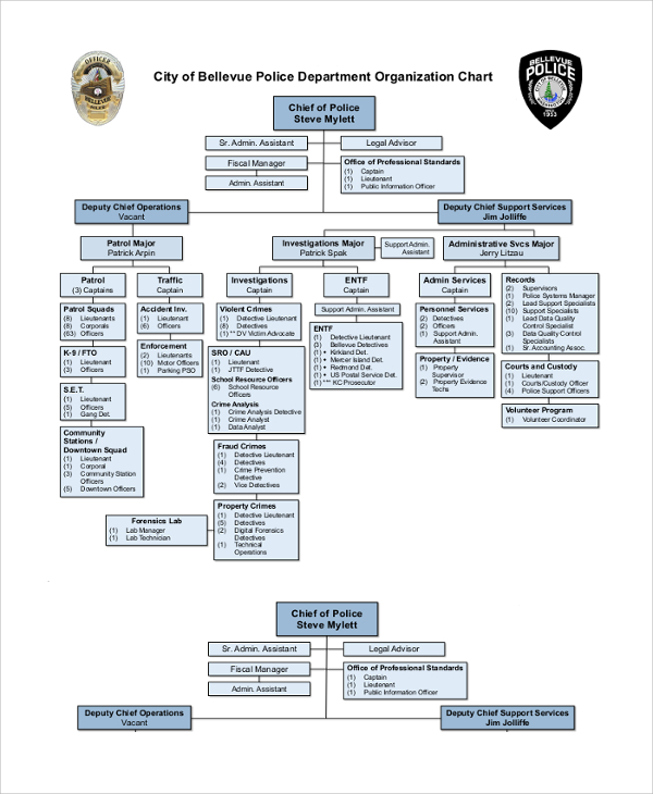 Police Organizational Chart Template