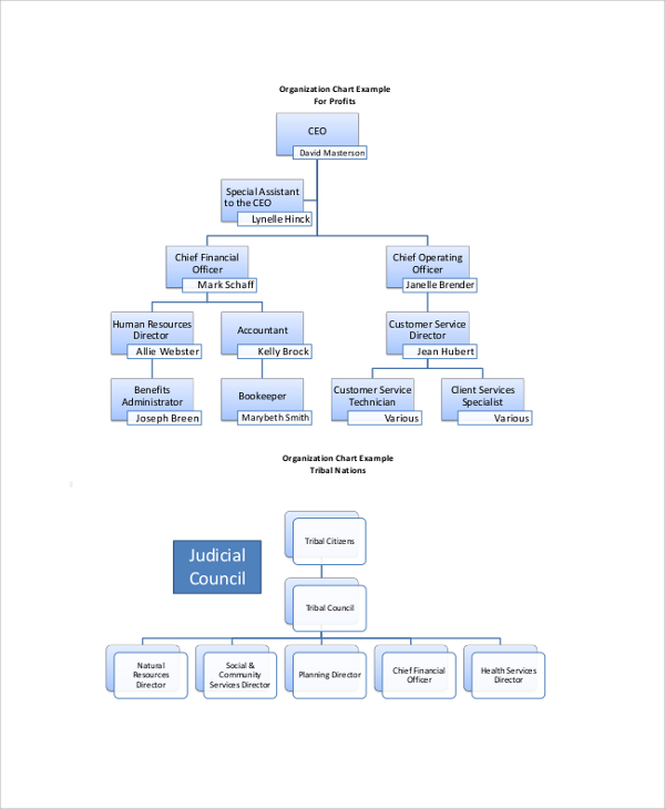 sample organization chart for profits