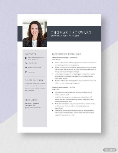 channel sales manager resume template