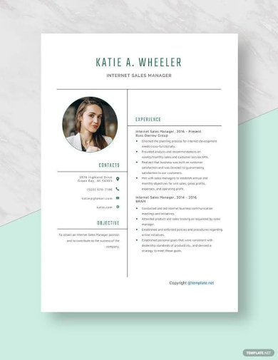 internet sales manager resume template
