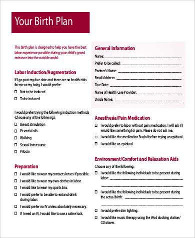 FREE 11+ Sample Birth Plan Templates in MS Word | PDF