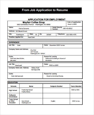 FREE 9+ Sample Job Resume Templates in MS Word | PDF