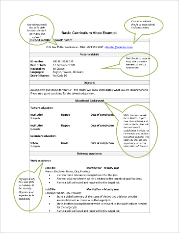 Curriculum Vitae Format Pdf / Sample Europass Curriculum Vitae PDF