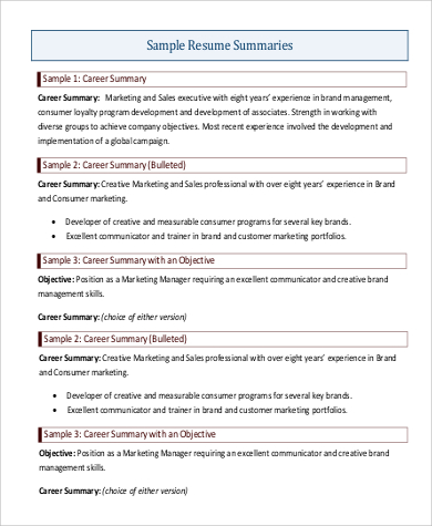 professional summary in resume example