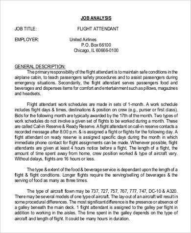 flight attendant job description in pdf