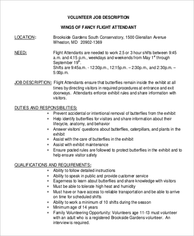 volunteer flight attendant job description example