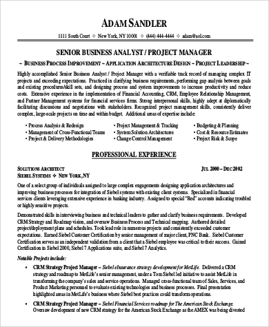 business project manager resume