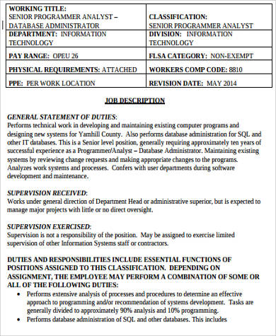 senior computer programmer job description
