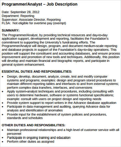 computer analyst programmer job description example