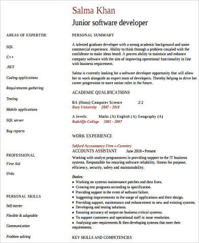 software developer technical skills resume