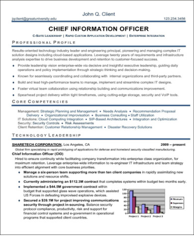 chief security officer resume pdf