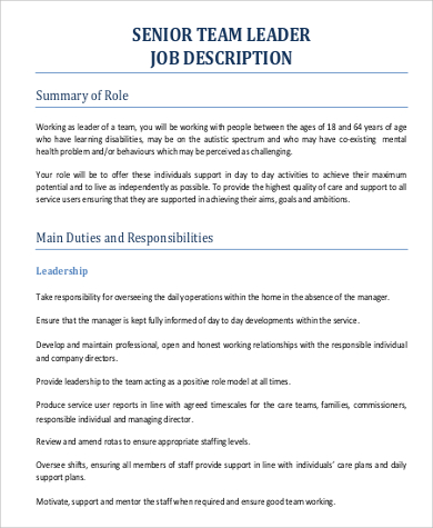 senior team lead job description example