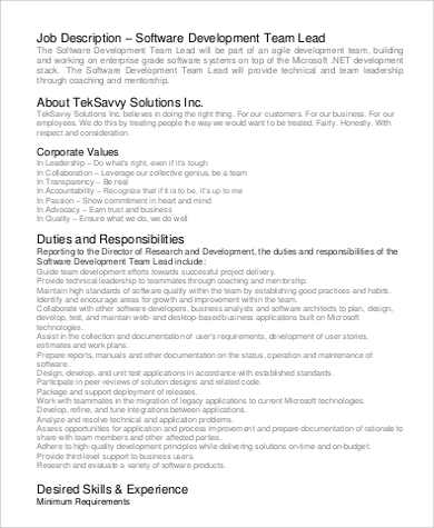 software team lead job description in pdf