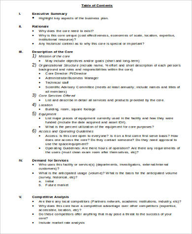 format of a business plan for a new business 