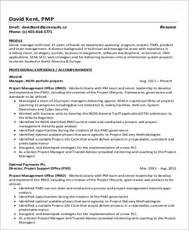 program manager resume word template