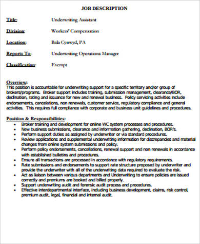 Healthcare underwriter job description