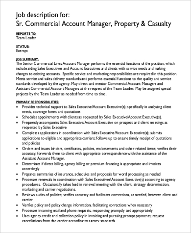 commercial account manager job description