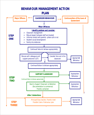 behavior management action plan in pdf